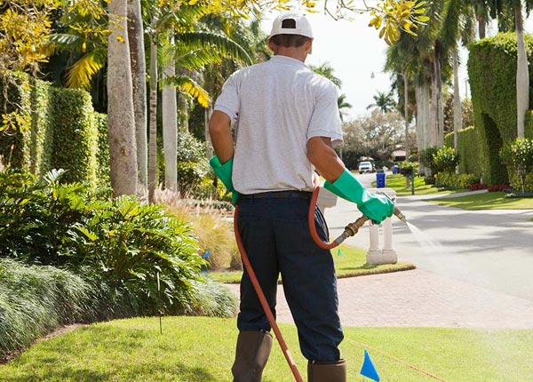 About Orem UT Pest Control Pros
